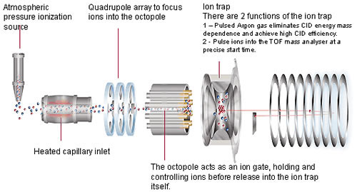 LCMS-IT-TOF