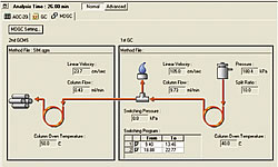 MDGC/GCMS系列(图6)