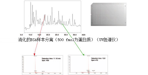 Prominence nano(图13) Prominence nano(图13)