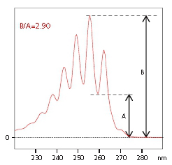 Nexera SR 速度很快的液相色谱仪(图10)