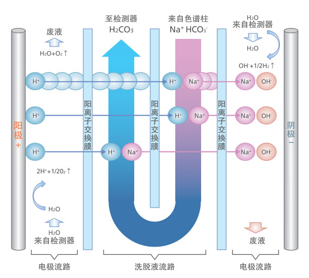 HIC-ESP离子色谱仪(图2)