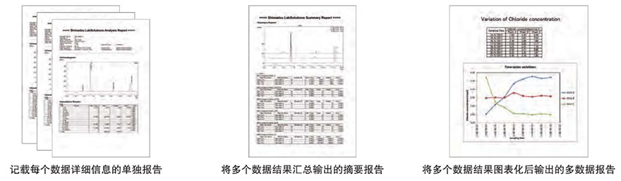 HIC-ESP离子色谱仪(图9)