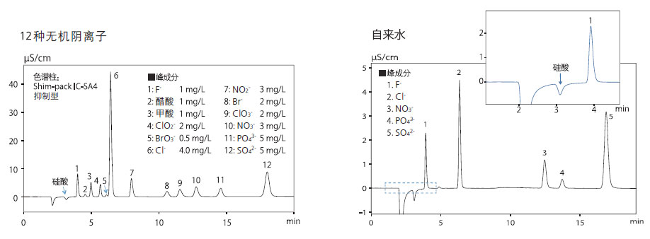 HIC-ESP离子色谱仪(图11)