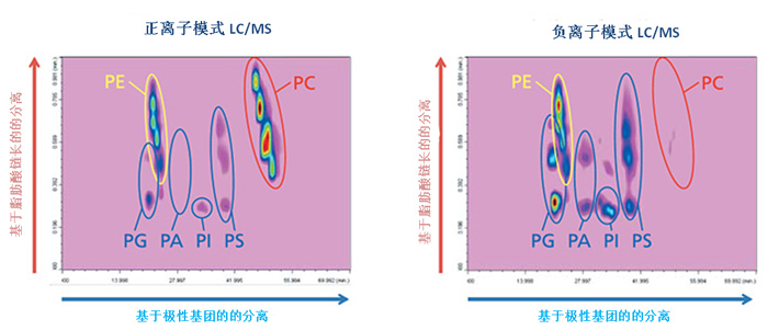 Nexera-e 全二维液相色谱(图5)