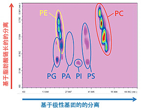 Nexera-e 全二维液相色谱(图18)