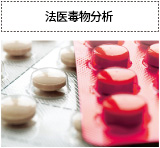 GCMS-TQ8050 NX 三重四极杆型气相色谱质谱联用仪(图20)