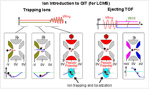LCMS-IT-TOF(图7)