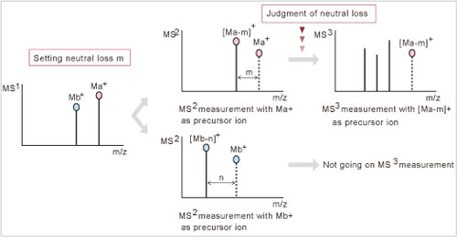 LCMS-IT-TOF(图12)