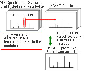LCMS-IT-TOF(图29)