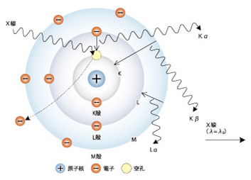 EDX-7000/8000/8100 能量色散型X射线荧光分析装置(图2)