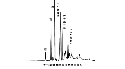 大气尘埃和尾气中多环芳烃分析(图1)
