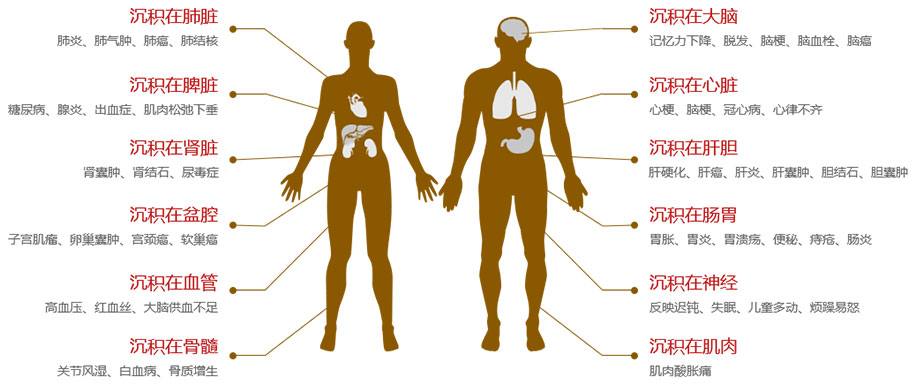 解决方案丨药用辅料元素杂质修订变化及解决方案(图2)