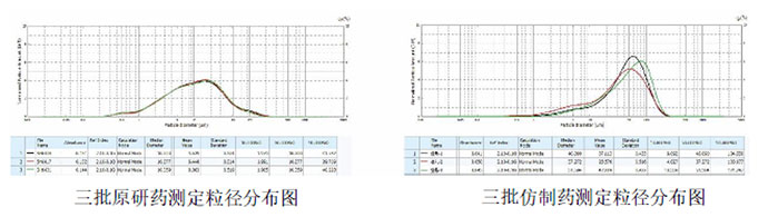 解决方案  | 化药及药用辅料通则部分第一篇 粒度分布与颗粒形状测定(图6)