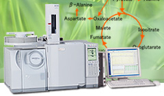 生物标记物搜索 | 使用GC / MS的代谢物成分数据库对尿液样品进行分析(图2)