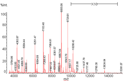 微生物鉴定方案