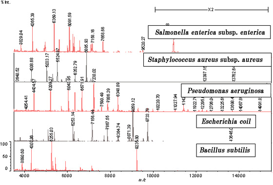 微生物鉴定方案(图2) 微生物鉴定方案(图2)